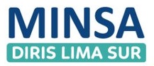 DIRIS Lima Sur